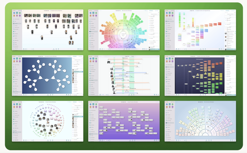 ancestry investigator, genealogist, professional genealogist, family tree, family tree chart